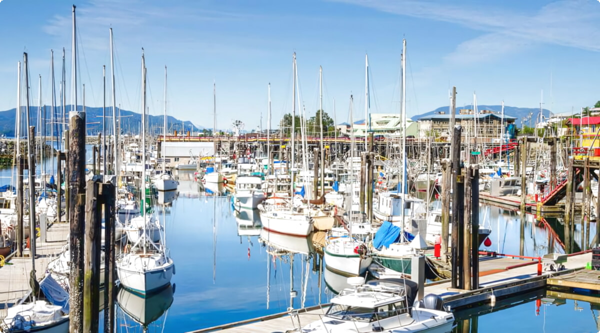 Nuestro inventario incluye una amplia variedad de vehículos.